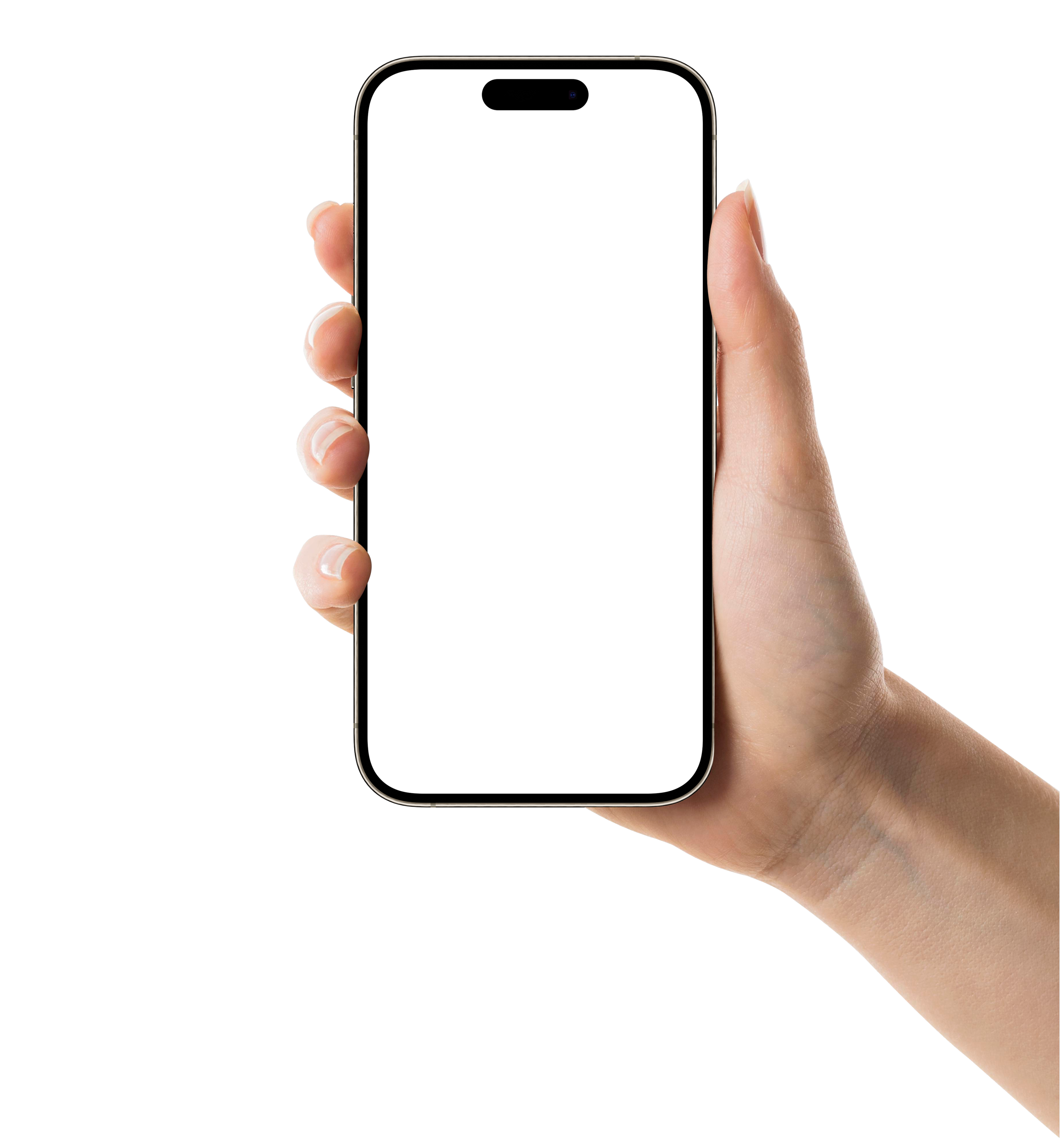 Morph Payments checkout on a phone
