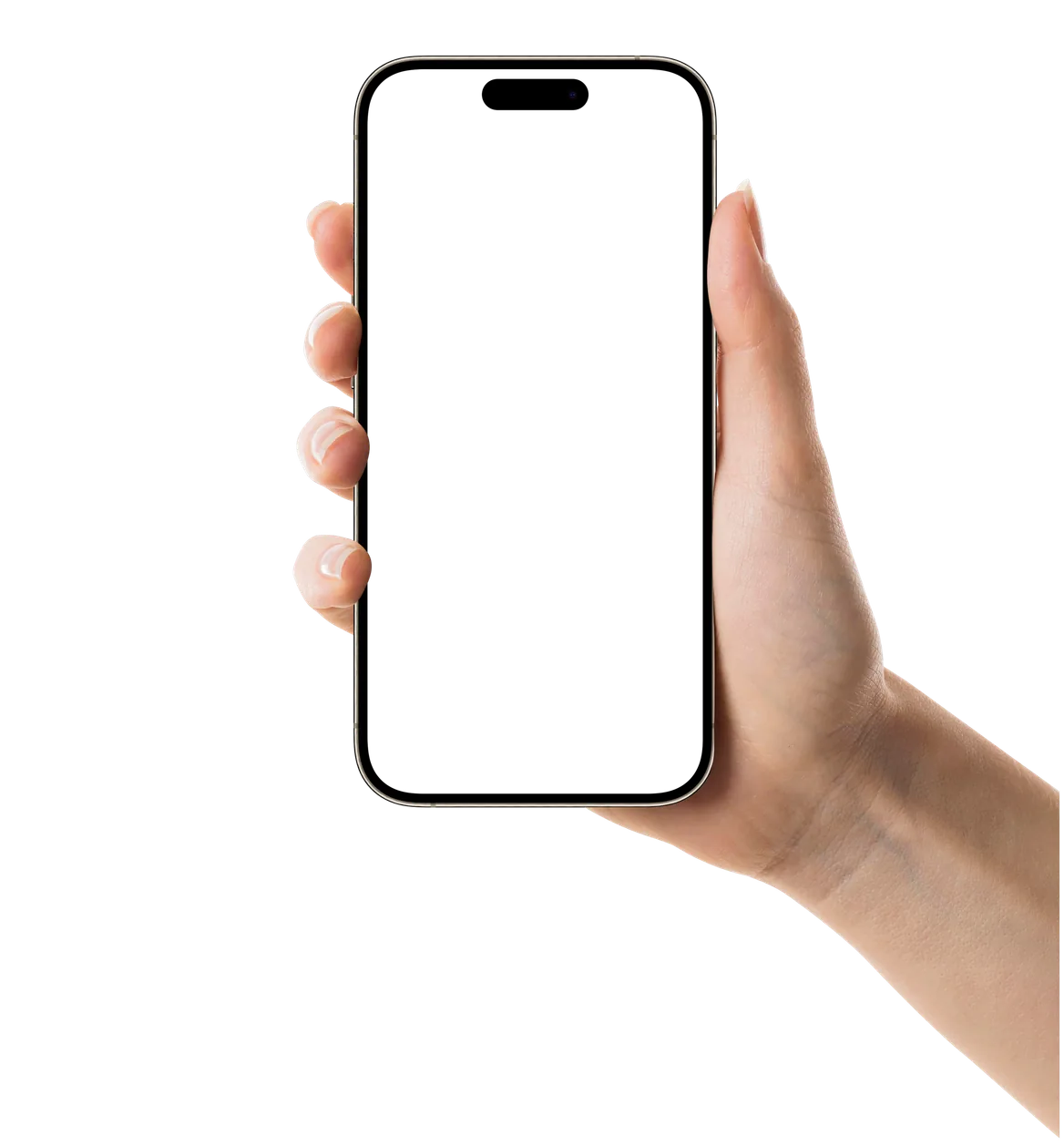 Morph Payments checkout on a phone